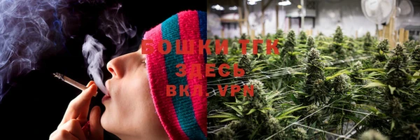 ALPHA PVP Остров