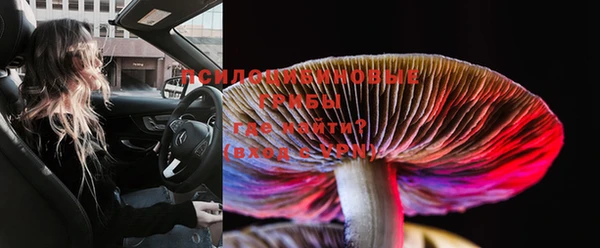 ALPHA PVP Остров