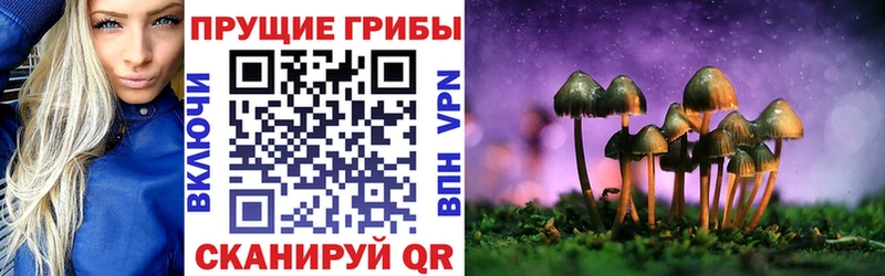 Псилоцибиновые грибы GOLDEN TEACHER  Купить где  Шенкурск 